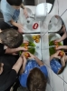 Ekologia ponad wszystko
