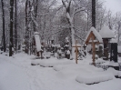 DSC02508