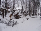 DSC02509