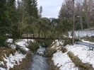 DSC02572