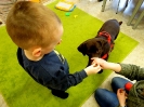 Labrador w przedszkolu
