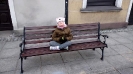 Ubieranie choinek na Rynku w Rydzynie