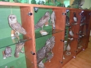Wycieczka do Muzeum Pożarnictwa w Rakoniewicach