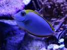 Wycieczka do wrocławskiego ZOO 