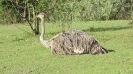 WYCIECZKA PRZYRODNICZA DO ZOO W POZNANIU