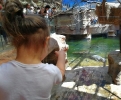 Wyprawa do ZOO i Afrykarium